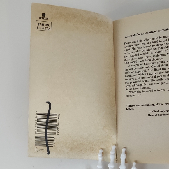 In the Dark: The True Story of the Blackout Ripper by Simon Read - Picture 4 of 7